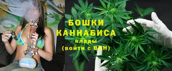 mdpv Инсар