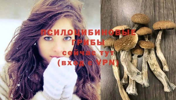 кокс Каменногорск