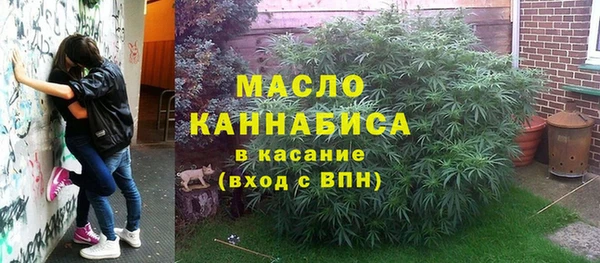 молекула духа Карпинск