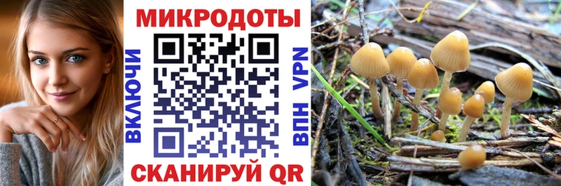 Галлюциногенные грибы Psilocybine cubensis Кирсанов